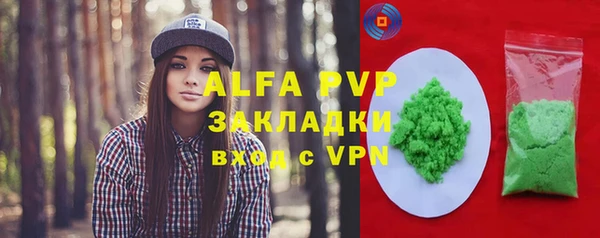 прущие грибы Волоколамск