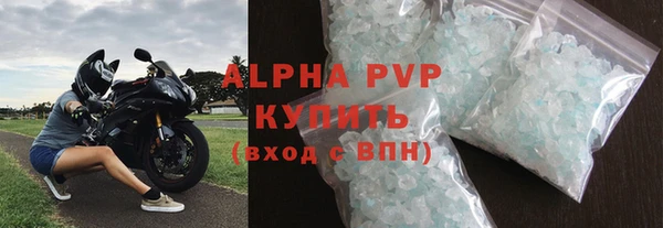 прущие грибы Волоколамск