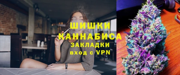 прущие грибы Волоколамск