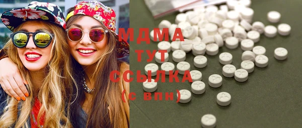 прущие грибы Волоколамск