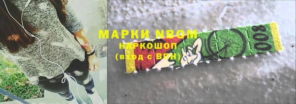 прущие грибы Волоколамск