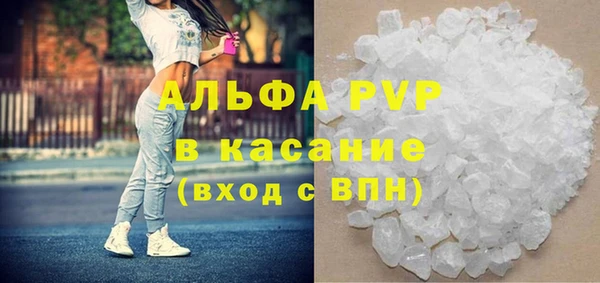 прущие грибы Волоколамск