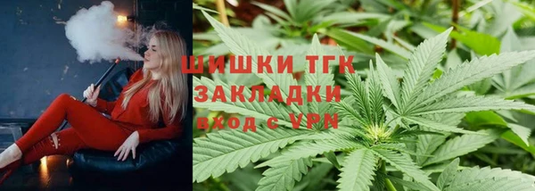 прущие грибы Волоколамск