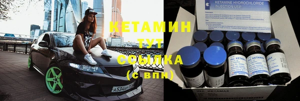 прущие грибы Волоколамск
