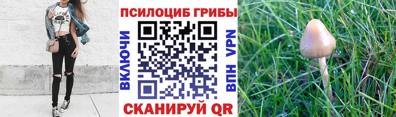 Псилоцибиновые грибы Psilocybine cubensis  где купить наркоту  Орехово-Зуево 